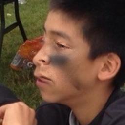 Fake 샘플 (밀도 0.060)