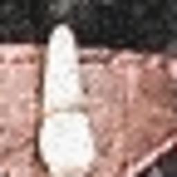 저밀도 Fake (밀도 0.060)