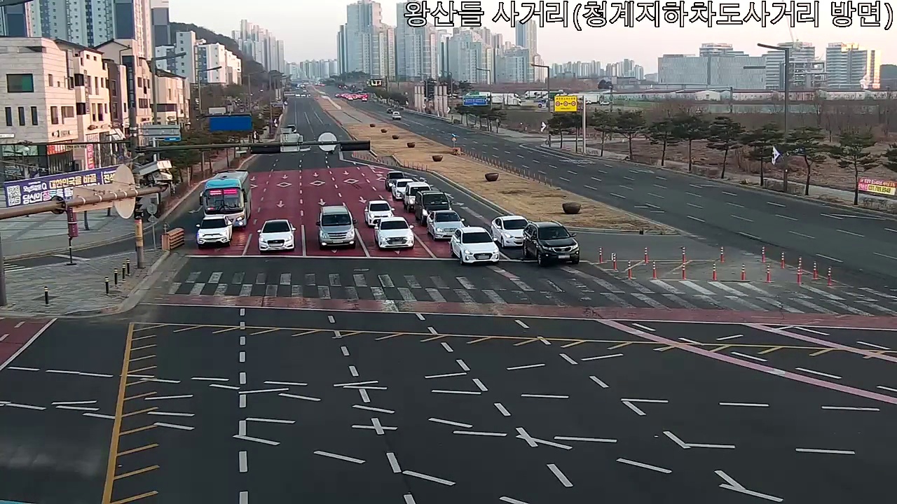 고밀도 샘플 00058624 — 주간