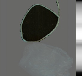 filament 저밀도 이상치