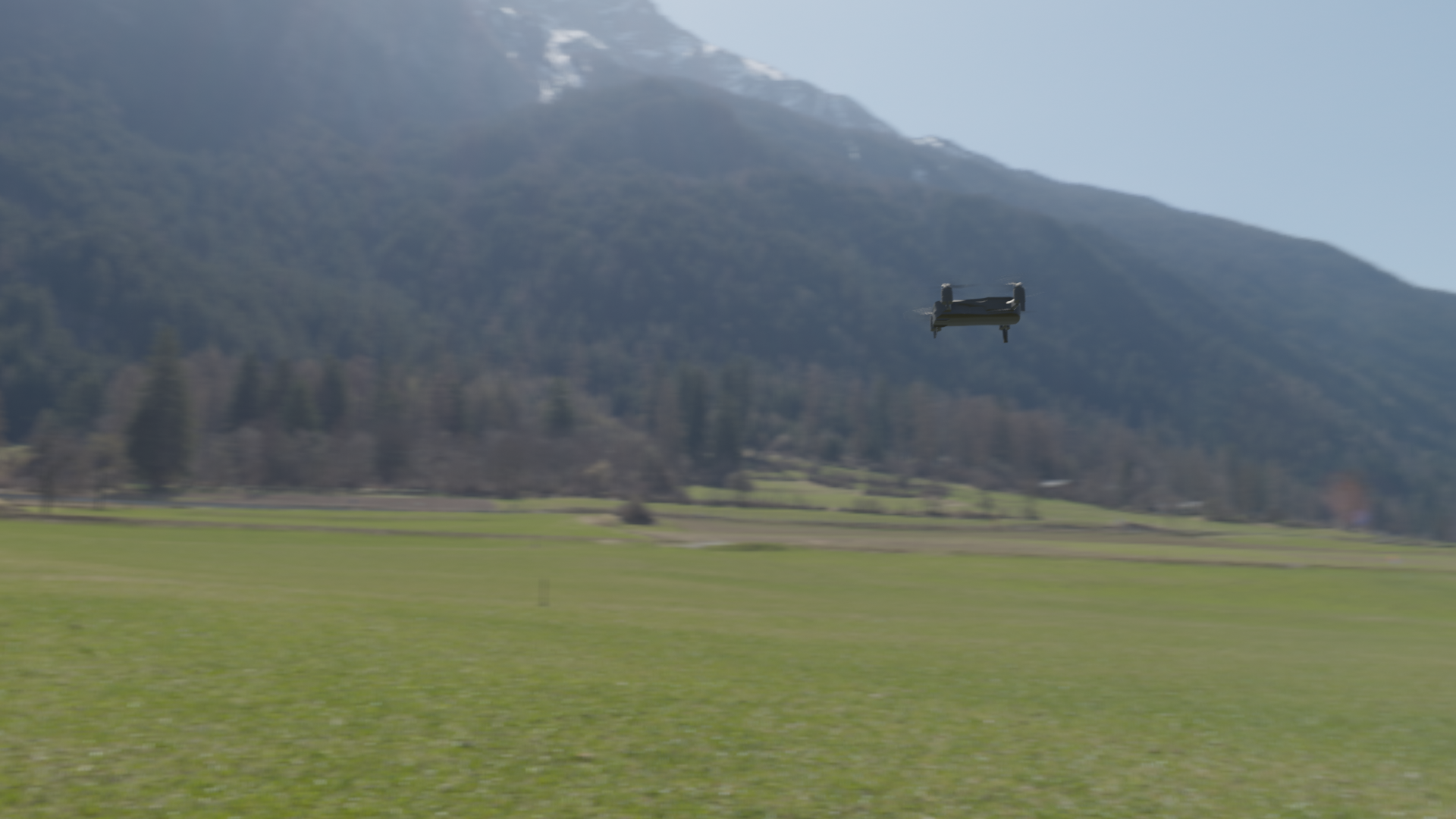 DR11 natural background