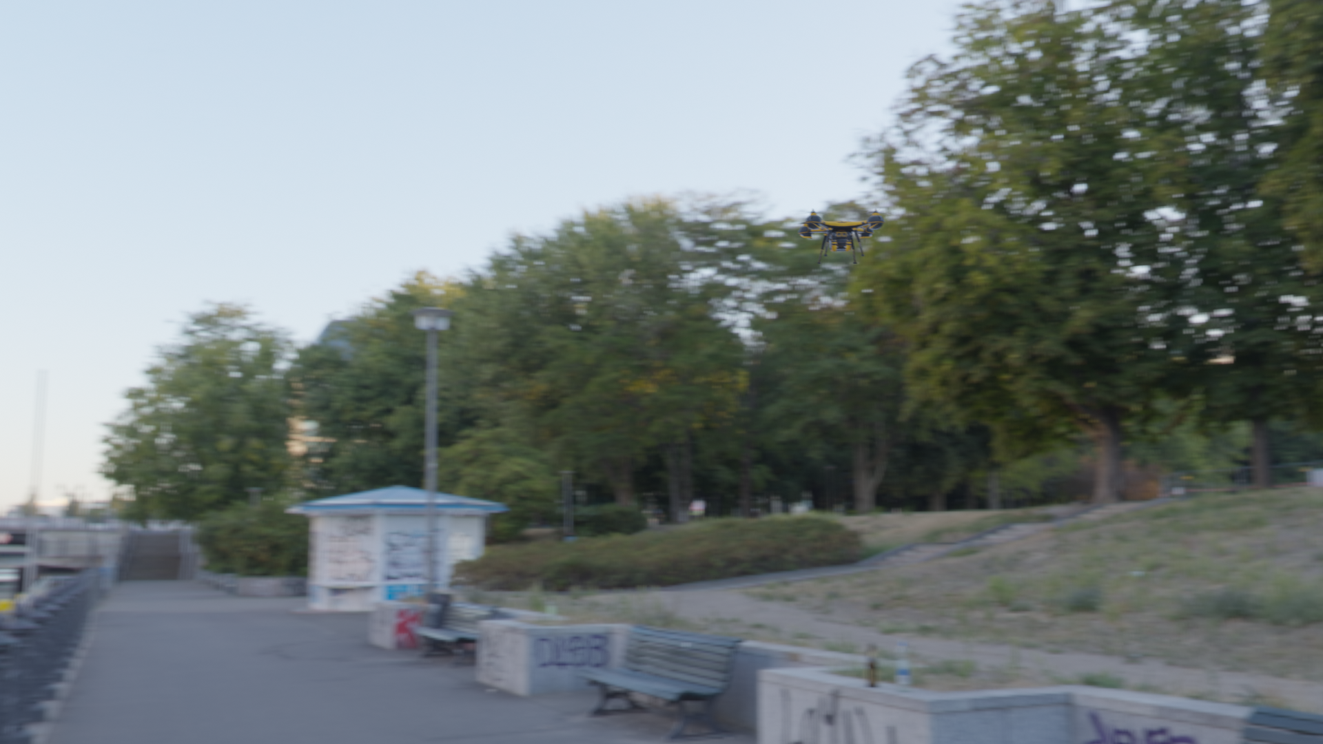 DR02 representative image