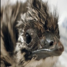 EMU 저밀도 이상치 (0.0532)