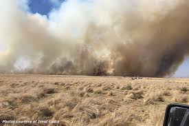 fire_392 — grassland blaze, smoke covering the frame horizontally