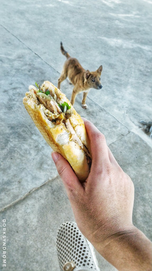 Labeled banh mi, but a dog and concrete floor fill most of the background