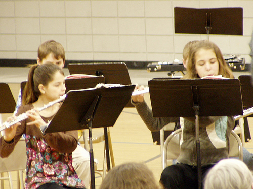 flute — density 0.0227