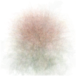 Chrysanthemum mean image