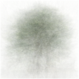 Pine tree mean image