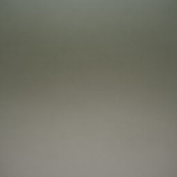 zen_garden mean image